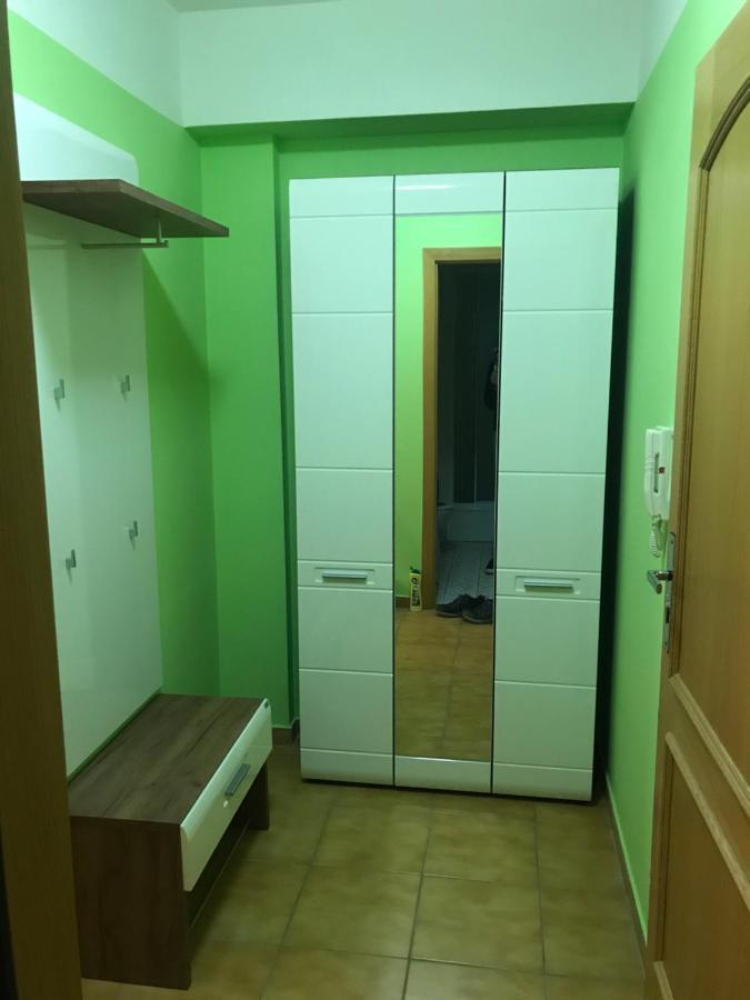 Krusne Hory - Klinovec 2 Km- Jachymov 2-4 Osobyアパートメント エクステリア 写真